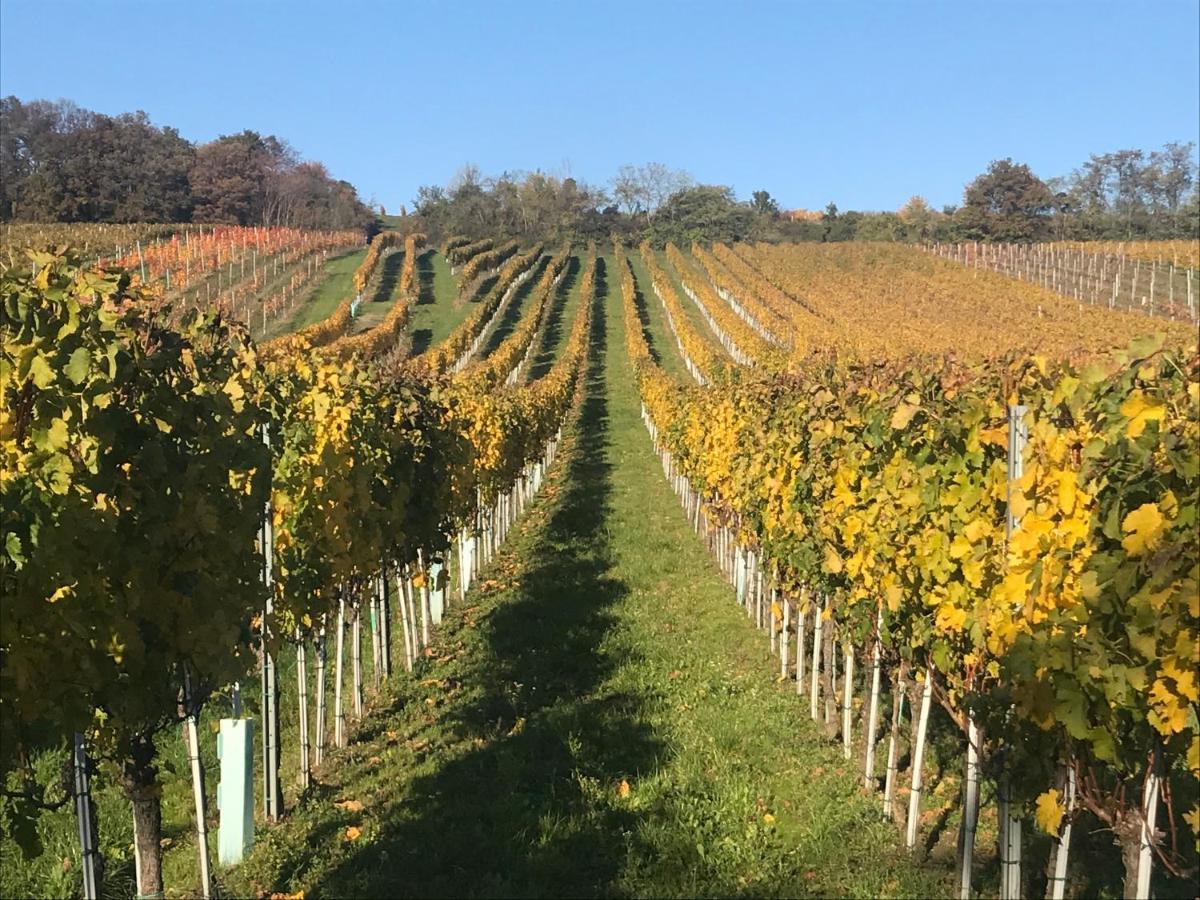 Weingut & Gastezimmer Edelmann Göttlesbrunn Dış mekan fotoğraf