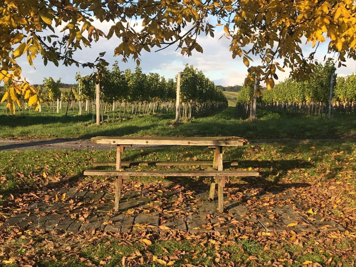 Weingut & Gastezimmer Edelmann Göttlesbrunn Dış mekan fotoğraf
