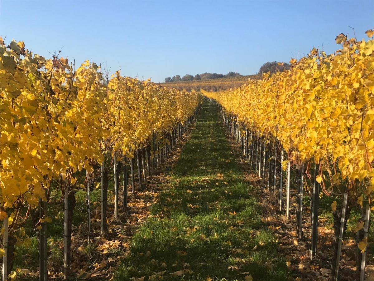 Weingut & Gastezimmer Edelmann Göttlesbrunn Dış mekan fotoğraf
