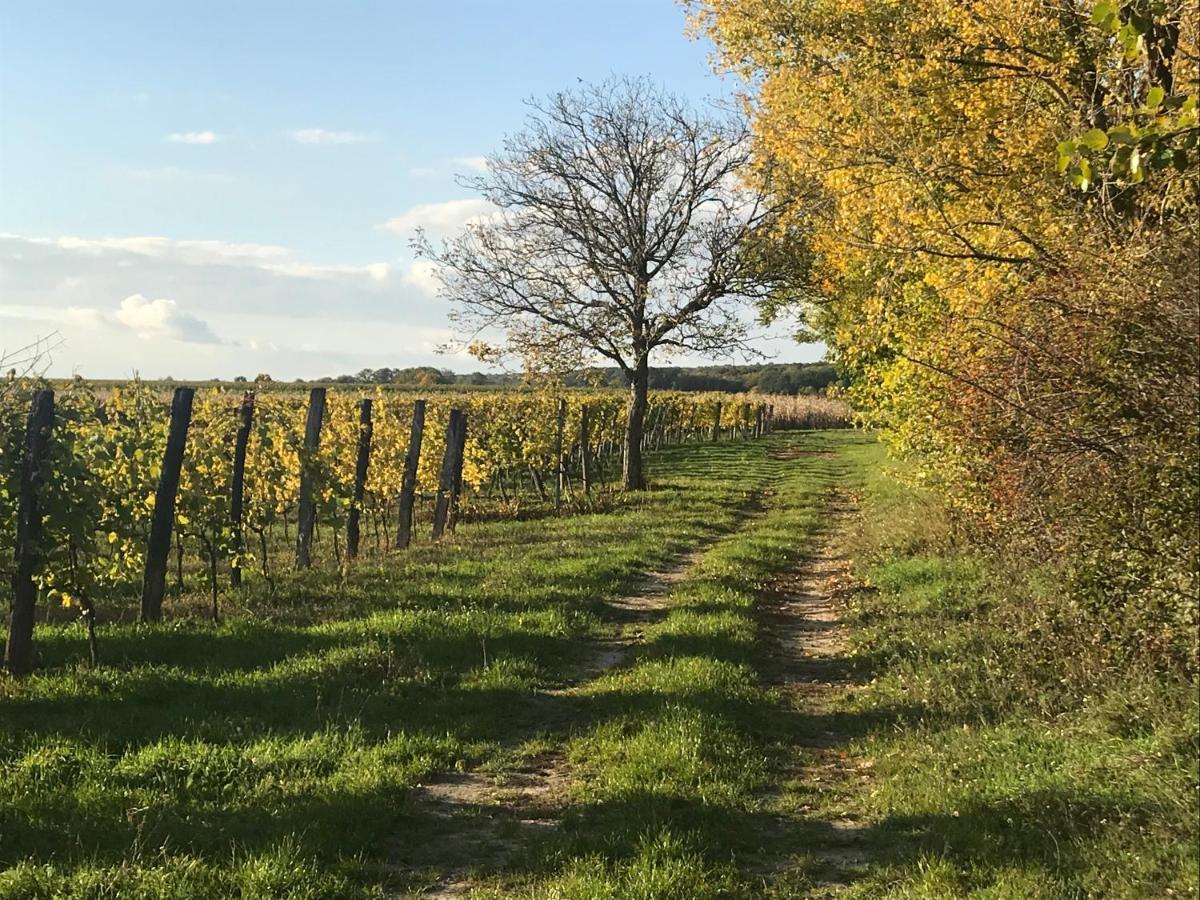 Weingut & Gastezimmer Edelmann Göttlesbrunn Dış mekan fotoğraf